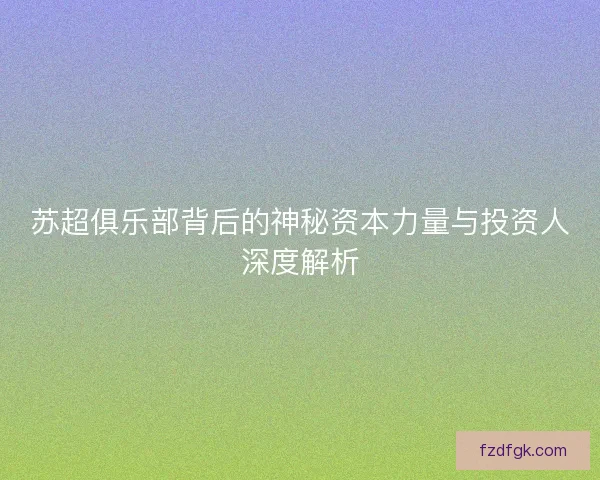 苏超俱乐部背后的神秘资本力量与投资人深度解析