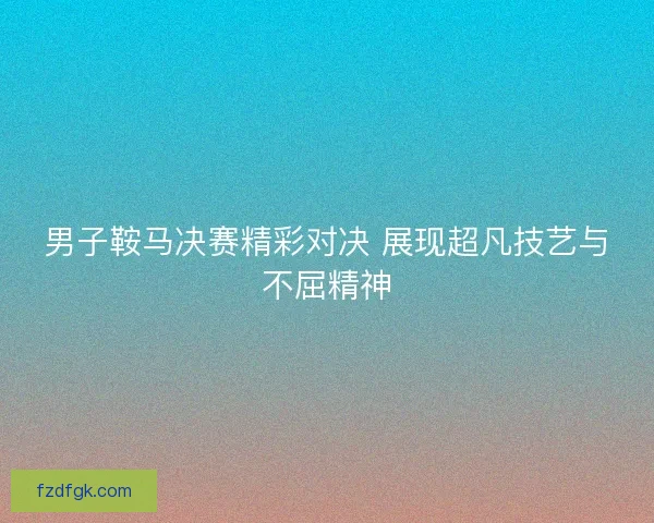 男子鞍马决赛精彩对决 展现超凡技艺与不屈精神